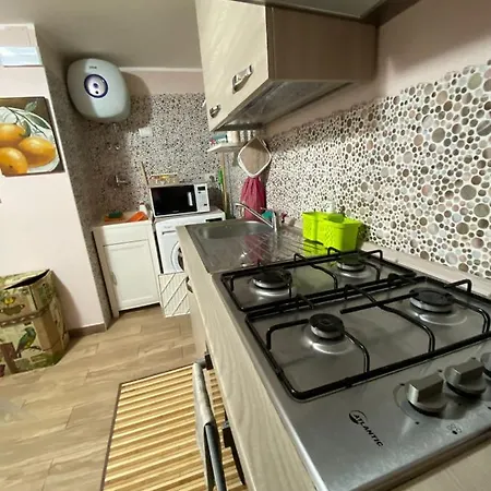 Appartement Viky House *