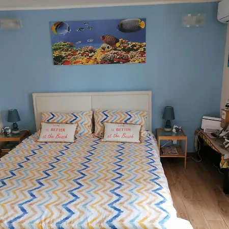 Viky House Appartement *